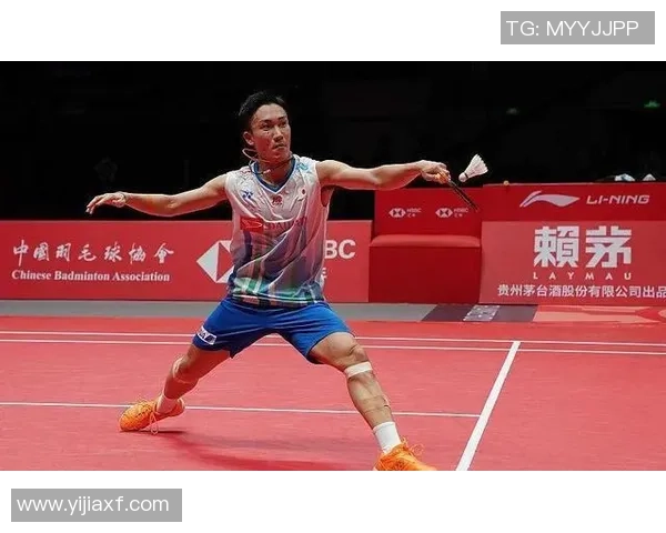 深圳羽毛球队战术对比深度解析与未来发展趋势探讨